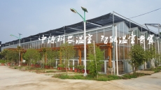 桂平生态餐厅设计建造
