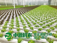 香港中源科农环保技术有限公司