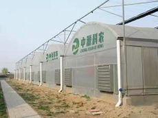 北京连栋充气膜温室大棚