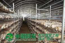 桂平蚌埠市食用菌温室大棚公司