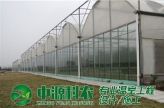 桂平六安市食用菌温室大棚公司